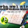 Những Cách Bắn Cá Dễ Thắng Khi Tham Gia Cá Cược Bắn Cá Online 
