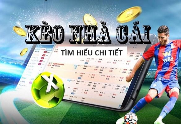 Những Cách Bắn Cá Dễ Thắng Khi Tham Gia Cá Cược Bắn Cá Online 